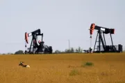 مارب اليوم اخبار اليمن الان تتراجع توقعات الإمدادات وتفاؤل دبلوماسي اخبار اليمن الان الحدث اليوم عاجل مارب اليوم