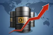 اخبار اليمن الان الحدث اليوم عاجل وكالة الصحافة اليمنية