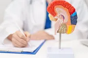 عرب تايم اخبار اليمن الان تجريبي فعالية تكرار السكتة الدماغية اخبار اليمن الان الحدث اليوم عاجل عرب تايم