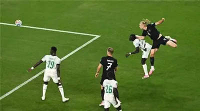 اخبار اليمن الان هالاند النرويج السنغال بثلاثية مونديال اخبار اليمن الان الحدث اليوم عاجل