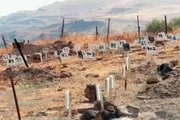 صحيفة الثورة صنعاء اخبار اليمن الان فلسطينية مشاركة فعاليات لاسترداد الشهداء اخبار اليمن الان الحدث اليوم عاجل صحيفة الثورة صنعاء