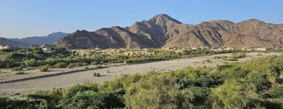 اخبار اليمن الان عناصر مسلحة لمواطن منطقة وتتسبب اخبار اليمن الان الحدث اليوم عاجل