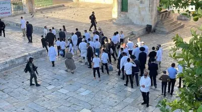 اخبار اليمن الان مستوطنون يقتحمون الأقصى الاحتلال اجراءاتها اخبار اليمن الان الحدث اليوم عاجل