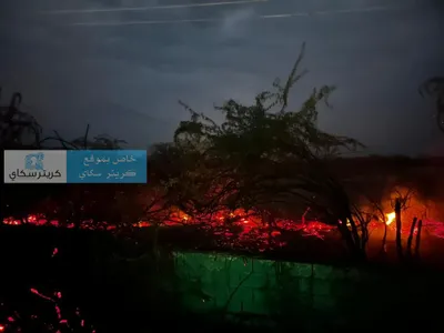 اخبار اليمن الان احتواء بالقرب زنجبار المركزي المحافظة اخبار اليمن الان الحدث اليوم عاجل