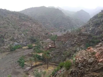 اخبار اليمن الان اقدام فتاة الانتحار تعرضها الامر اخبار اليمن الان الحدث اليوم عاجل