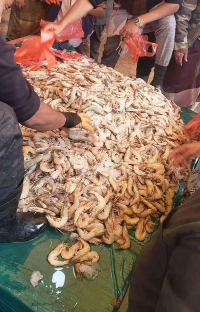 اخبار اليمن الان الكشف جمبري صنعاء بالفين لايصدق اخبار اليمن الان الحدث اليوم عاجل