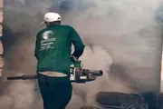 عدن تايم اخبار اليمن الان الصحة العالمية تدخلاتها لمكافحة الملاريا اخبار اليمن الان الحدث اليوم عاجل عدن تايم