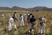اخبار اليمن الان الحدث اليوم عاجل صحيفة الثورة صنعاء