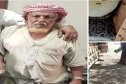 عرب تايم اخبار اليمن الان وتقارير مليشيا الحوثي ممتلكاته اليمنية اخبار اليمن الان الحدث اليوم عاجل عرب تايم