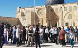 اخبار اليمن الان الحدث اليوم عاجل وكالة الصحافة اليمنية