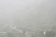 اخبار اليمن الان الحدث اليوم عاجل كريتر إسكاي