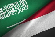 الحكومة الدعم السعودي للكهرباء جاء في توقيت بالغ...
