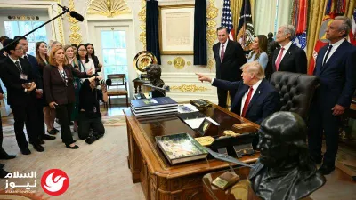 اخبار اليمن الان اكتشاف علمي القطط البرية للعلن اخبار اليمن الان الحدث اليوم عاجل