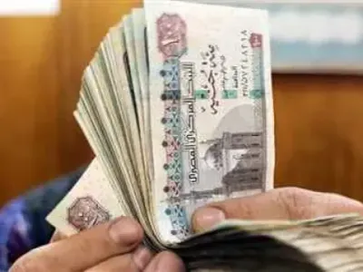 اخبار اليمن الان زيادة معاشات تكافل وكرامة المستفيدين اخبار اليمن الان الحدث اليوم عاجل