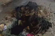اخبار اليمن الان الحدث اليوم عاجل كريتر إسكاي