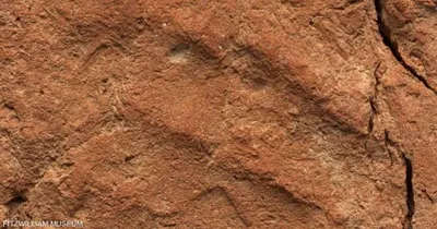 اخبار اليمن الان اكتشاف بصمة عمرها آلاف طيني اخبار اليمن الان الحدث اليوم عاجل