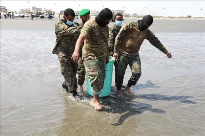 اخبار اليمن الان وثمانية المخدرات أدراج والحرائق النيابة اخبار اليمن الان الحدث اليوم عاجل