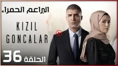 اخبار اليمن الان مشاهدة البراعم الحمراء الحلقة للعربية اخبار اليمن الان الحدث اليوم عاجل