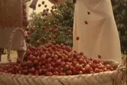 صدى الساحل اخبار اليمن الان الشرفي اليمنية نيويورك السيطرة الأمريكي اخبار اليمن الان الحدث اليوم عاجل صدى الساحل