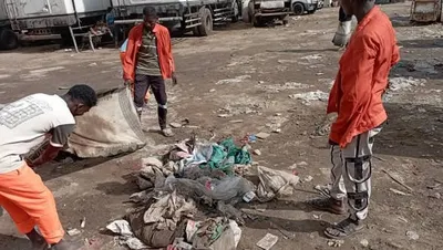 اخبار اليمن الان يحدث واسعة لتنظيف الأسماك البريقة اخبار اليمن الان الحدث اليوم عاجل