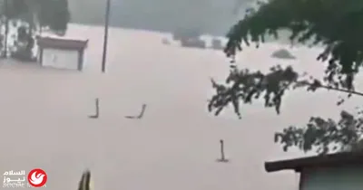 اخبار اليمن الان مأساة فرنسا احتفالات الديوك المونديال اخبار اليمن الان الحدث اليوم عاجل