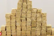 السلام نيوز اخبار اليمن الان مكافحة الفساد كيلوغراما المرتبط الجميلي اخبار اليمن الان الحدث اليوم عاجل السلام نيوز