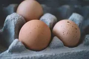 عدن تايم اخبار اليمن الان دراسة حديثة بيضة واحدة أسبوعيا اخبار اليمن الان الحدث اليوم عاجل عدن تايم