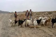 عدن تايم اخبار اليمن الان تحذير أممي جفاف معتاد اليمن اخبار اليمن الان الحدث اليوم عاجل عدن تايم