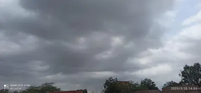 اخبار اليمن الان بدت مدينة زبيد ظهر الاثنين اخبار اليمن الان الحدث اليوم عاجل