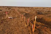 اخبار اليمن الان الحدث اليوم عاجل الميثاق نيوز
