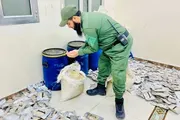 اخبار اليمن الان الحدث اليوم عاجل كريتر إسكاي