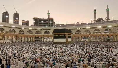 اخبار اليمن الان الأسد الطاولة السعودية ويكشف استهداف اخبار اليمن الان الحدث اليوم عاجل