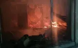 وكالة الصحافة اليمنية اخبار اليمن الان مجزرة المدنيين الطائفة العلوية سوريا اخبار اليمن الان الحدث اليوم عاجل وكالة الصحافة اليمنية