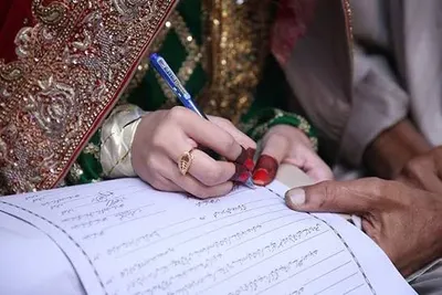 اخبار اليمن الان ذبائح تجربة يمنية الزفاف الآلاف اخبار اليمن الان الحدث اليوم عاجل