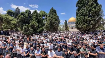 اخبار اليمن الان الآلاف الفلسطينيين الجمعة المسجد الأقصى اخبار اليمن الان الحدث اليوم عاجل