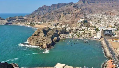 اخبار اليمن الان تهريب بخليج كميات فاصوليا وقهوة اخبار اليمن الان الحدث اليوم عاجل