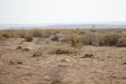 عاجل السعودية اخبار اليمن الان انخفاضا العواصف الغبارية عبدالله الملكية اخبار اليمن الان الحدث اليوم عاجل عاجل السعودية
