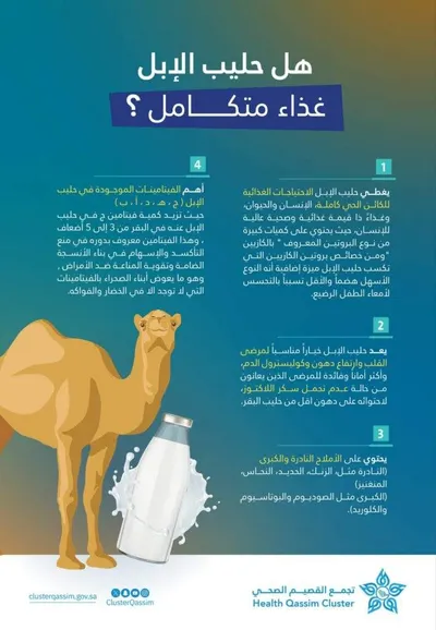 اخبار اليمن الان يحتوي البقر فوائد تناول الإبل اخبار اليمن الان الحدث اليوم عاجل
