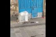 اخبار اليمن الان الحدث اليوم عاجل كريتر إسكاي
