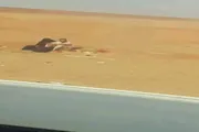 عدن تايم اخبار اليمن الان الضمير وزوجته يفترشان الوديعة الظهيرة اخبار اليمن الان الحدث اليوم عاجل عدن تايم