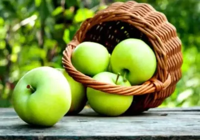 اخبار اليمن الان التفاح الأخضر المنام والاستقرار المالي اخبار اليمن الان الحدث اليوم عاجل