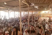 صدى الحقيقة اخبار اليمن الان موصول قبيلة الترابية البصيلة أعوام اخبار اليمن الان الحدث اليوم عاجل صدى الحقيقة