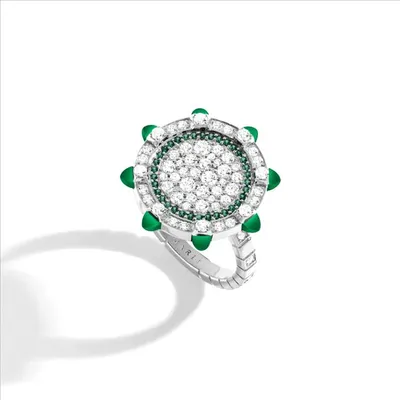 اخبار اليمن الان الدائرة الجمال مجوهرات الأناقة والعصرية اخبار اليمن الان الحدث اليوم عاجل