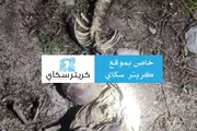 كريتر إسكاي اخبار اليمن الان العثور مواطن بمديرية شرعب السلام اخبار اليمن الان الحدث اليوم عاجل كريتر إسكاي