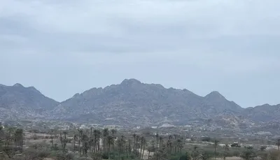 اخبار اليمن الان تحاصر الوازعية وتجبر النزوح القسري اخبار اليمن الان الحدث اليوم عاجل