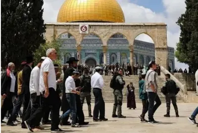 اخبار اليمن الان المستوطنين يقتحمون المسجد استعدادا العبرية اخبار اليمن الان الحدث اليوم عاجل