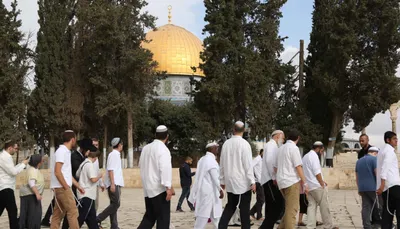 اخبار اليمن الان المستوطنين يدنسون المسجد الأقصى الاحتلال اخبار اليمن الان الحدث اليوم عاجل