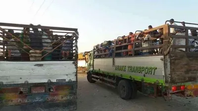 اخبار اليمن الان تمهيدا لترحيلهم شرطة مهاجرين شرعيين اخبار اليمن الان الحدث اليوم عاجل