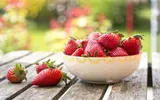اخبار اليمن الان الحدث اليوم عاجل عدن تايم