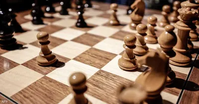 اخبار اليمن الان عمره يدخل تاريخ الشطرنج العالمي اخبار اليمن الان الحدث اليوم عاجل